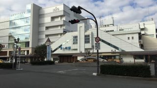 ジー散歩（白浜町編）弟子もいるよ！