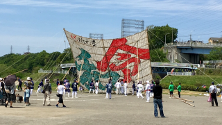 相模の大凧、今年はこれでしょ！