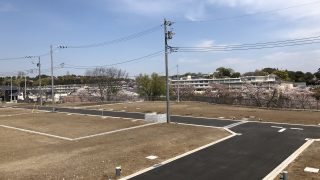 暗い日々に明るい話題を☆