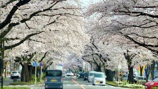 解体工事完了！