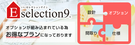 Eselection9はオプションが組み込まれているため、お得なプランになっております