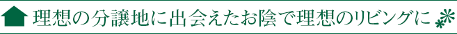 理想の分譲地に出会えたお陰で理想のリビングに